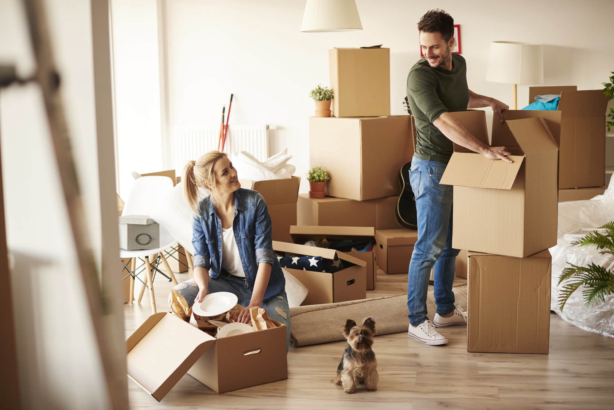People Unpacking